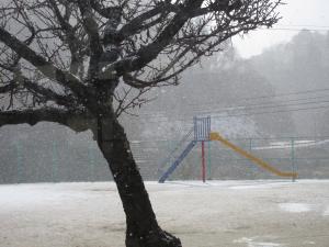 雪の運動場