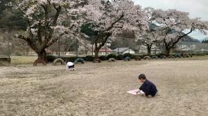 図工では、二人並んで校庭の桜の絵を描きました。