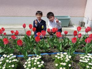 本日４月２２日、花いっぱい花壇コンクールの現地審査がありました。地域ぐるみでつくり上げた花壇、よい結果が届くといいなと思います。