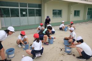 土作りと植え付けの様子