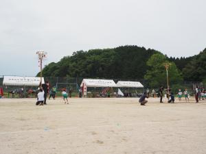 柱松
