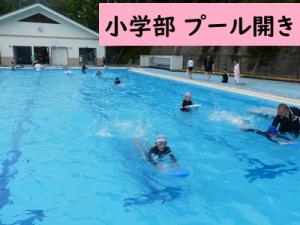 プール