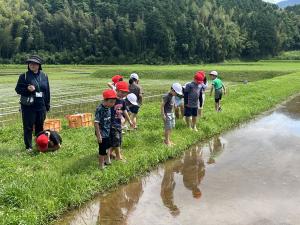 田んぼに入る前