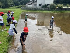 田んぼに入って1