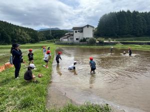 田んぼに入って2
