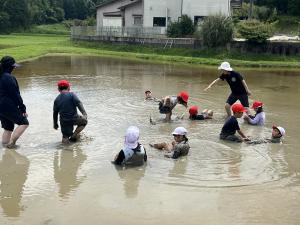 田んぼに浸かって