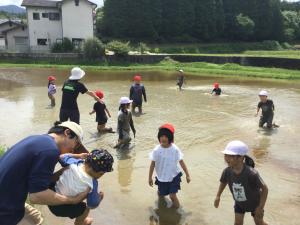 田んぼに入って3