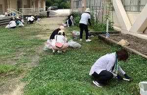 PTA環境委員による除草作業