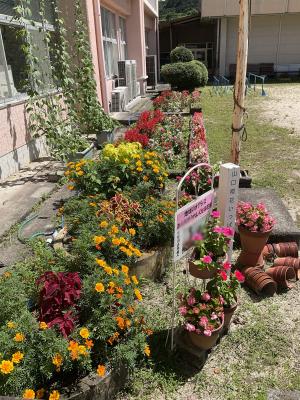 暑い中でもきれいに花が咲いています。
