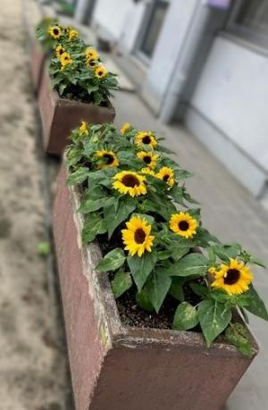 0731-2