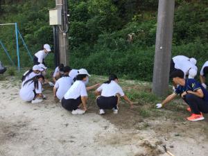 美しい学校づくり④