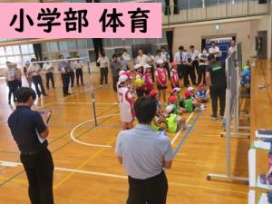 体育