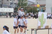 3年競技ボール