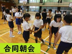 合同朝会