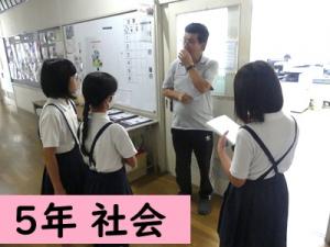 社会
