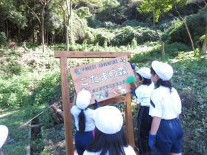 看板設置