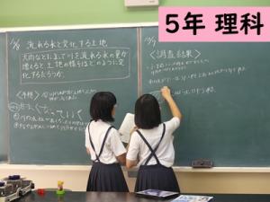 理科