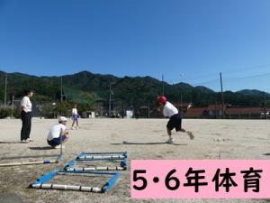 体育