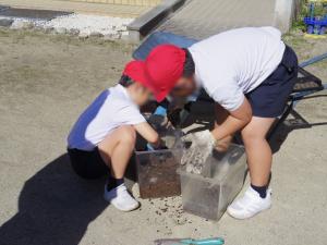 10月10日：カブトムシが卵を産み、今では幼虫が大きくなっています。今日は、幼虫が気持ちよく過ごせるように、汚れた土を取り除いてきれいな土を入れてあげました。