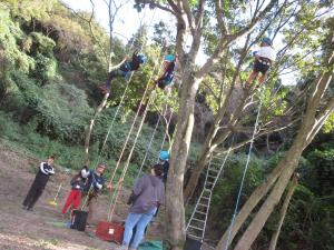 ツリークライミング