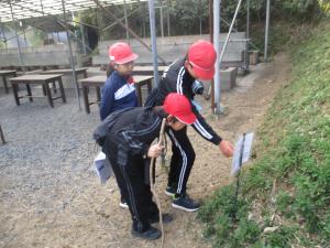 ウォークラリー