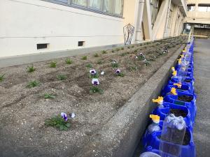 植え替えが終了した花壇