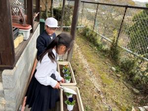 マイプランター