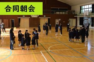 合同朝会