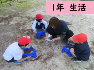 生活