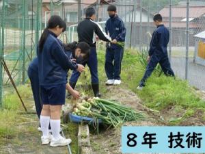 技術