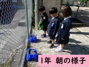朝