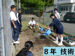 技術