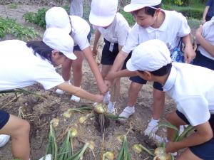 学習会