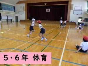体育