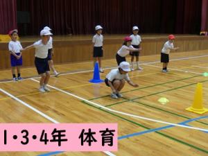 体育