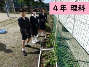 理科