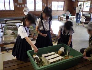 5月20日：合同社会見学1・2年生の様子です。