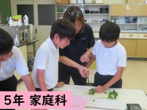 家庭科