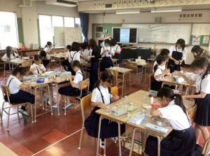 クラブ活動