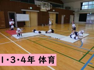 体育