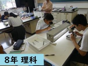 理科
