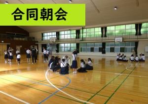 合同朝会