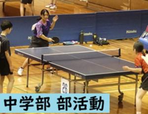 卓球