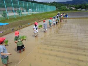 田植え中