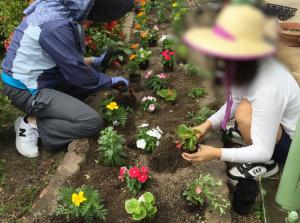 花壇の花植え１