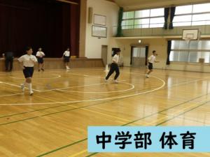 体育