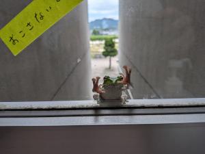 かわいい訪問者