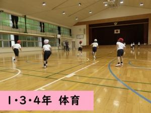 体育