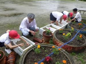 6月6日：今日はあいにくの雨でしたが、雨が止んだ時間に稲植えをすることができました。明日からの学校公開のときにご覧ください。
