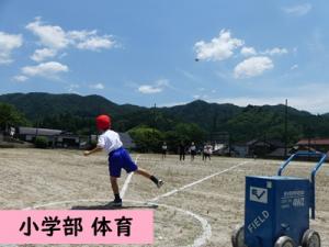 体育